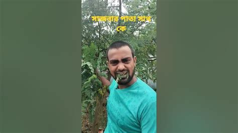 সাজনা পাতা এত সাত কে Youtube