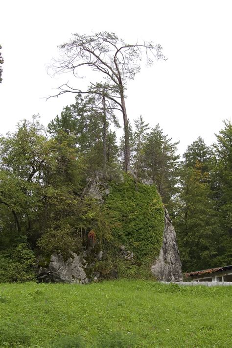 Grainau Felsen Aus Felssturz Vor Dem Rathaus Gunnar Ries Zwo Flickr