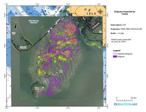 Skeena River Estuary Juvenile Salmon Habitat