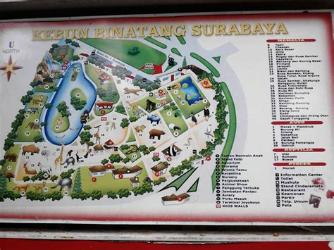 Ungkap Rahasia Akses Mudah Ke Kebun Binatang Surabaya Dari Stasiun