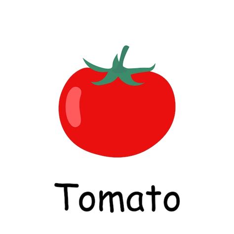 Premium Vector | Tomato illustration flat vector vegetables flashcard