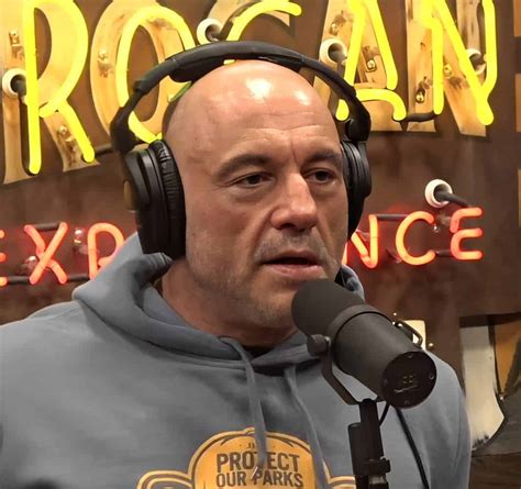 People Dying Suddenly | Joe Rogan Experience #2082 - Morses.TV