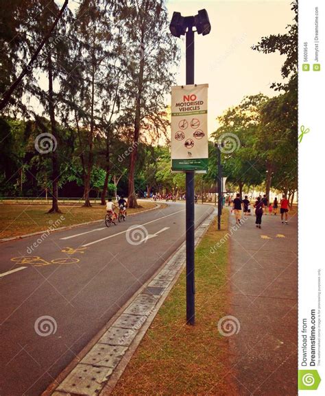 Cycling and walking paths editorial photo. Image of jogging - 56009546