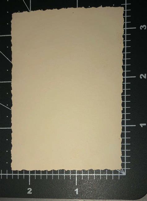 Vintage Swimsuit Man Bulge Muscle Beefcake Shirtless Gay Int Snapshot Photo