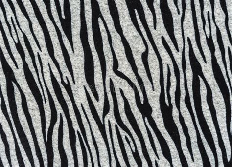 Texture Of Print Fabric Striped Zebra Stock Photo Image Of Black