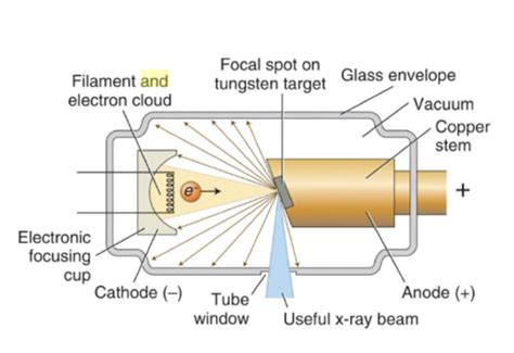 X Ray Interactions With Matter Flashcards Quizlet