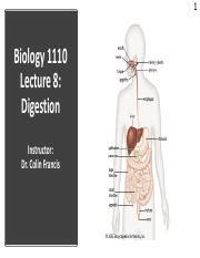 Understanding Digestion: From Ingestion to Elimination | Course Hero