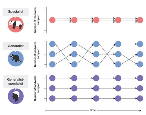 Homo Sapiens Developed A New Ecological Niche That Separated It From