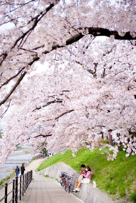 35 Iconic Sights You Can Only See in Kyoto | Wisata jepang, Tempat ...