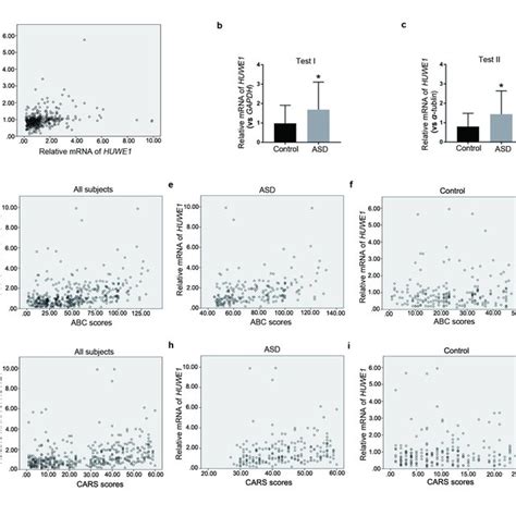 Immunohistochemical Analysis Of Rod And Cone Photoreceptors In