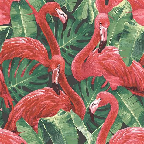 Flamingo Pink Wallpapers - Wallpaper Cave