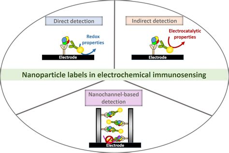 Sensors Free Full Text Nanoparticles As Emerging Labels In