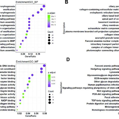 Functional Enrichment Analyses Of Candidate Genes A Biological