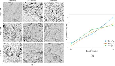 A Sem Images Of Ni P Electroless Coatings With Co Deposited Zno