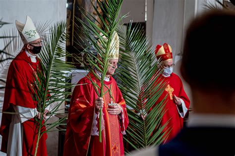 Niedziela Palmowa Jak Zrobi Palm Wielkanocn