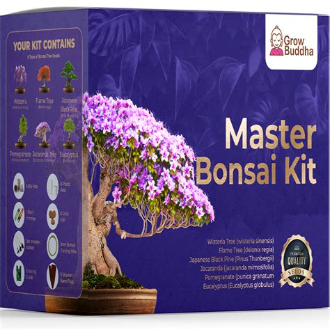 Master Bonsai Starter Kit Grow Buddha Deals