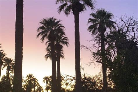 Sahuaro Ranch Park Historic Area Venue Glendale Az Weddingwire