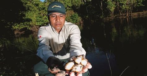 ¡hito Histórico El Congreso Aprueba La Ley Del Cuerpo De