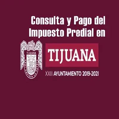 Consulta Y Pago Del Impuesto Predial En Tijuana 2024