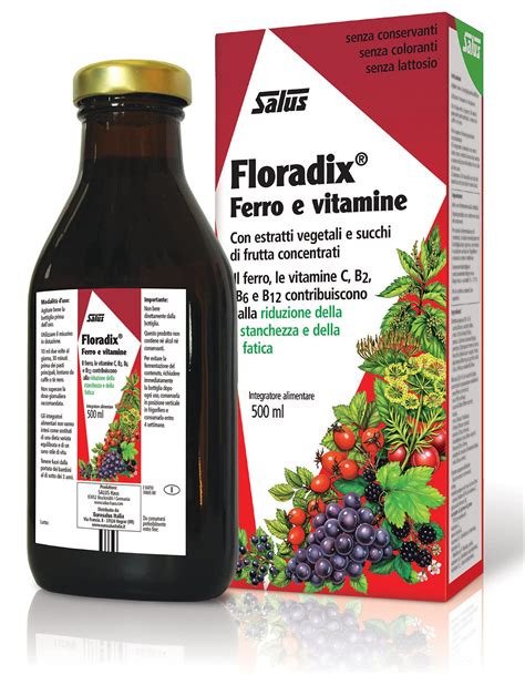 Floradix Liquid Iron Formula, 500ml- Buy Online in India at Desertcart ...