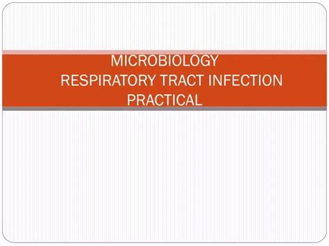 Ppt Microbiology Respiratory Tract Infection Practical Powerpoint Presentation Id1867975