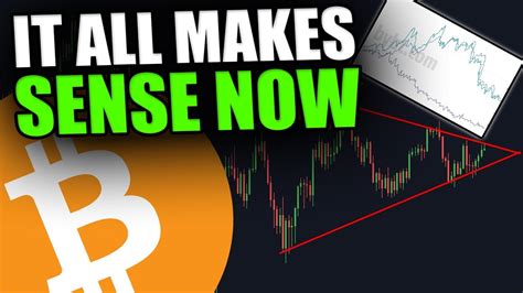 This Chart Explains The Bitcoin Bull Run And Why It Stopped Youtube