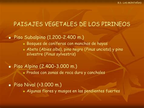 PPT 6 LOS PAISAJES VEGETALES ESPAÑOLES PowerPoint Presentation