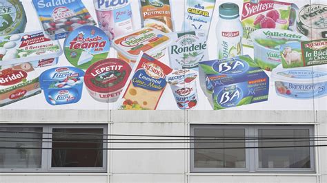 Scandale du lait contaminé Lactalis Une conjugaison de tous les