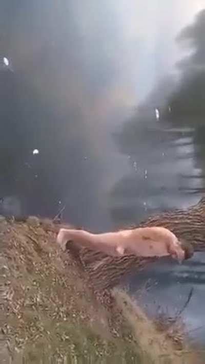 WCGW Doing A Backflip On Ice Naked Whatcouldgowrong