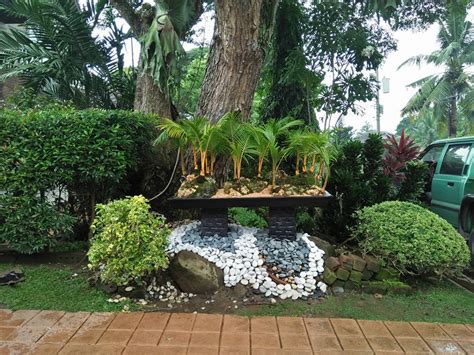 Bonsai Grouping Aneka Ragam Bentuk Bonsai