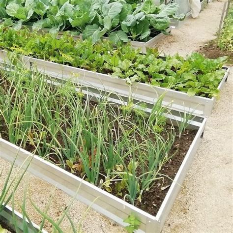 Грядка Усиленная Оцинкованная - Грядки оцинкованные купить