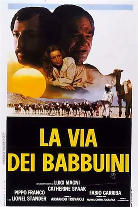 La Via Dei Babbuini With English Subtitles On Dvd Dvd Lady