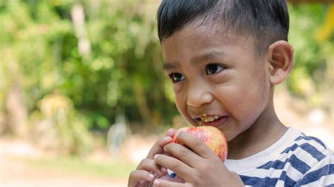 Hawaii Foodbank Kaua‘i - Hawaiʻi Foodbank