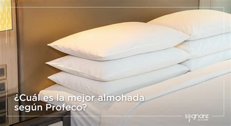 Cuál es la mejor almohada según Profeco Analizando las almohadas