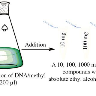 The steps for colorimetric assay for the investigated compounds ...