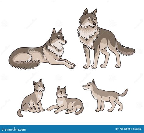 Wolf Family Watercolor Painting Drawing Royalty-Free Stock Photography ...