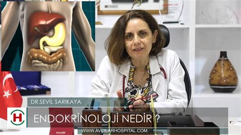 Endokrinoloji Nedir Uzm Dr Sevil SARIKAYA YouTube