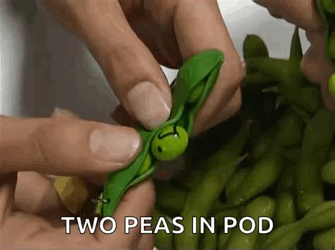 Toy Pea Toy Pea Peas Discover Share Gifs