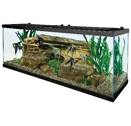 Best 55 Gallon Aquariums - Aquarium Dimensions