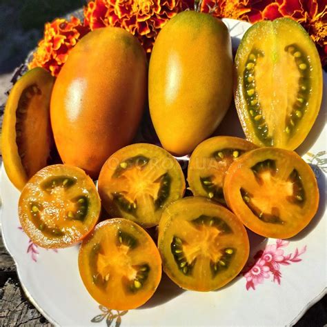 Семена томата «Dwarf Laura's Bounty» (Карлик Щедрость Лауры), серия «От ...