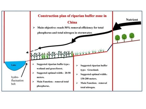 Riparian Buffer Zones Functions And Recommended Widths