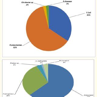 Pie Chart showing the proportion of common carbapenem resistant ...