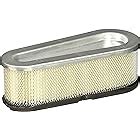 Amazon Briggs Stratton 399806S Oval Air Filter Cartridge