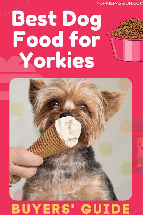 Healthy and Delicious Dog Foods for Your Yorkie