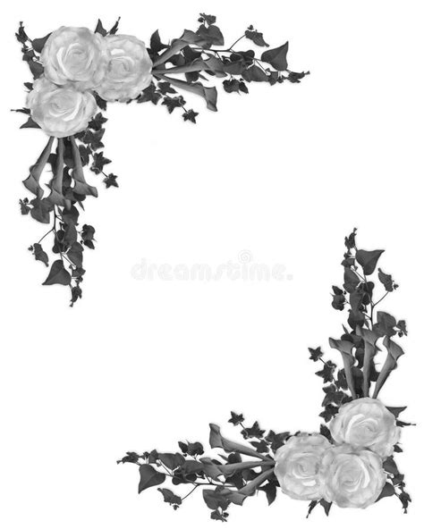 Black and White Floral Border Stock Illustration - Illustration of card ...