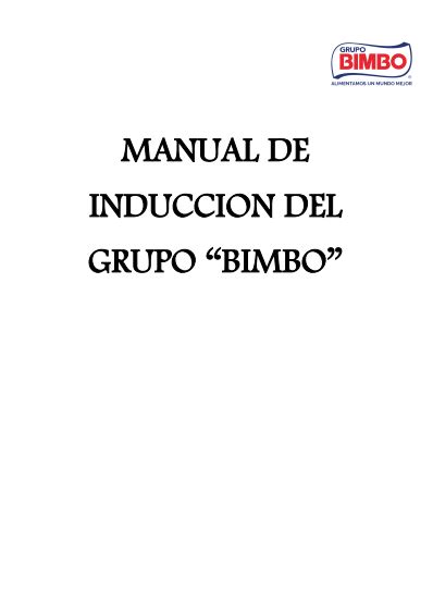 Top 33 Imagen Manual De Induccion De Grupo Modelo Abzlocal Mx