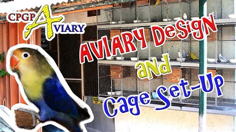 Aviary Design And Cage Set Up Youtube