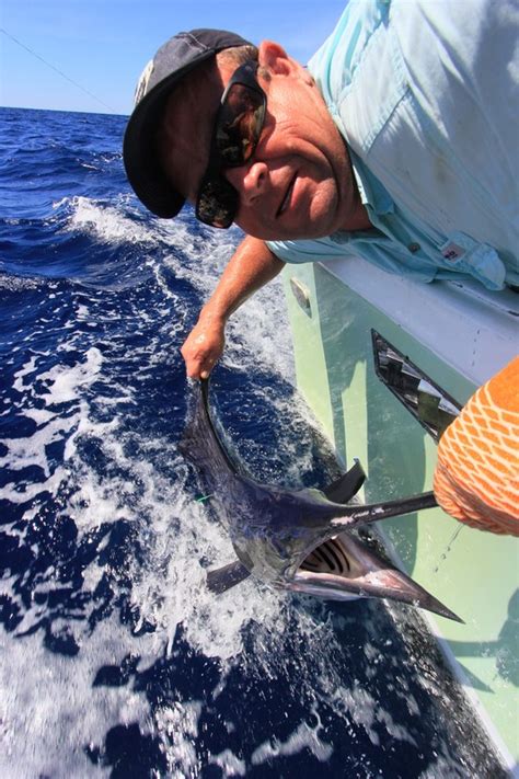 Marlin Fishing Costa Rica - sportfishing in costa rica