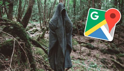 Google Maps Conoce Todo Sobre Aokigahara El Bosque De Los Suicidios