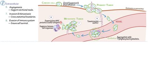 USMLE COMLEX Step 1 Extracellular Cancer Hallmarks Intro Ditki